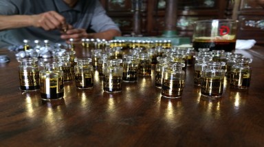  Tin môi trường:Các địa phương tăng cường kiểm soát việc buôn bán mật gấu tại các cơ sở kinh doanh y dược cổ truyền