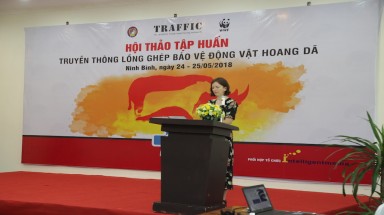  Tin môi trường: Chung tay giảm thiểu nhu cầu kê đơn và sử dụng các sản phẩm có nguồn gốc động, thực vật hoang dã 