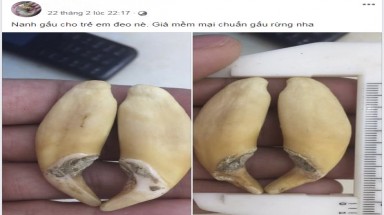  "Buôn bán động vật hoang dã trên mạng Internet – Đã không còn an toàn!"