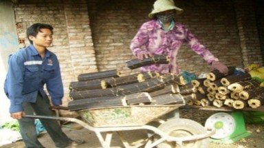   Sản xuất vật liệu chất đốt từ vỏ trấu
