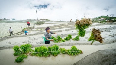   Bắc bộ mát mẻ, mưa giảm 