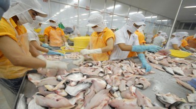   Không mặc cả tiêu chuẩn môi trường