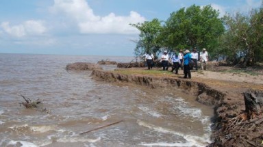  Mỗi năm, Cà Mau mất khoảng 450 ha đất ven biển 