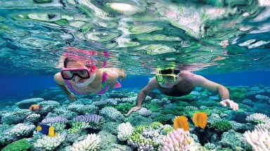 Quảng Nam: Tọa đàm về bảo tồn phát triển Cù Lao Chàm