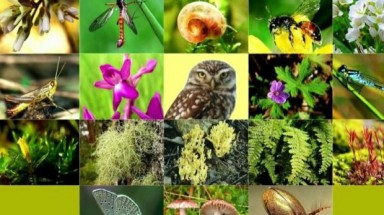  Hội Bảo vệ TN&MT Việt Nam tham gia các hoạt động hưởng ứng Ngày ĐDSH năm 2018