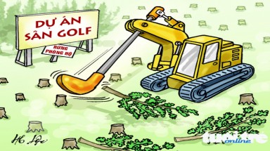   Phá rừng phòng hộ... đón hoa hậu