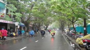  Ứng dụng công nghệ GIS trong quản lý hệ thông ao hồ và cây xanh