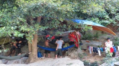 Ngang nhiên vận chuyển gỗ sưa cổ thụ ra khỏi rừng cấm