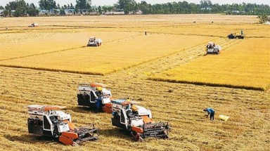   Hiệu quả từ sản xuất nông nghiệp hữu cơ 