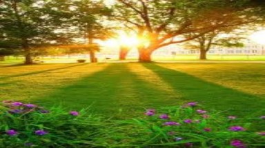  Cả nước sẽ được hưởng những ngày nắng đẹp 