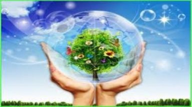  Việt Nam xúc tiến chiến lược tăng trưởng Xanh 