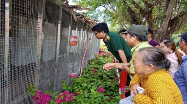 An Giang: Sẽ bí mật thả cặp rắn "khủng" về thiên nhiên