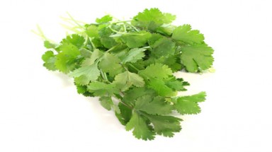 Lợi ích từ rau mùi