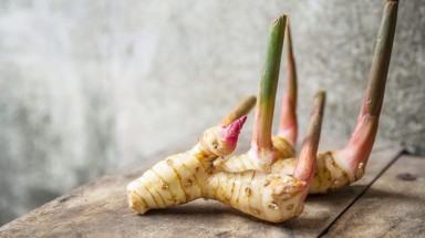 Phát hiện "thần dược" trong cây riềng có thể trị một loạt bệnh nan y
