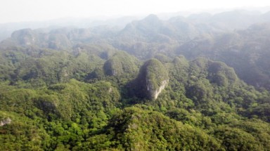   Phát hiện khu rừng như Sơn Đoòng thứ hai