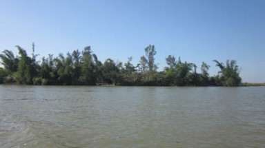  “Ốc đảo” Xuân Giang 2 trước nguy cơ xóa sổ 