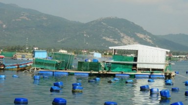  Khánh Hoà: Phạt Nhà máy đường gây ô nhiễm hơn 3 tỷ đồng