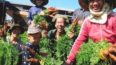  Quỹ JIFF mời nộp hồ sơ xin tài trợ sáng kiến tư pháp về tăng cường tiếp cận pháp luật và tư pháp trong lĩnh vực bảo vệ môi trường