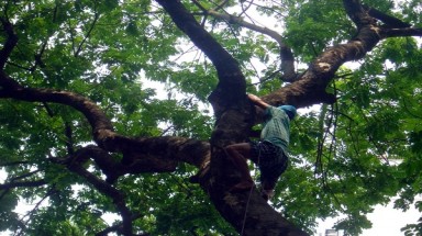  Tìm hiểu 3 công việc đặc biệt bậc nhất Việt Nam