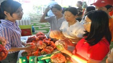  Hội chợ Triển lãm Kinh tế biển năm 2012: Treo đầu dê, bán thịt…ôi