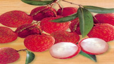  Chọn hoa quả ngon đón tết Đoan Ngọ