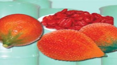  Quả gấc ngăn ngừa ung thư vú