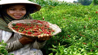   Những khoảnh khắc đẹp từ vùng Bảy Núi