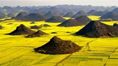  Tuyệt đẹp xứ sở thần tiên ở thung lũng hoa cải dầu