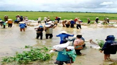  Điện Biên kỷ luật đơn vị, địa phương "lơ là" phòng chống lụt bão 