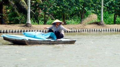   Mở hướng cho nghề nuôi cá tra