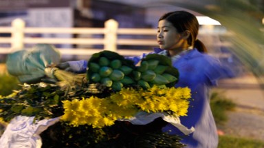  Chợ hoa đêm Quảng Bá