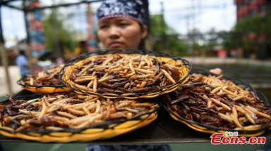  Du khách thắng vàng 24K sau khi ăn hết 1,23 kg côn trùng