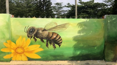  Hoa hậu môi trường Việt Nam đồng hành cùng dự án Bích hoạ đường phố “Bản Sắc Tây Nguyên”