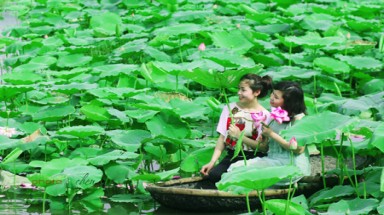  Giới trẻ Hà Nội nô nức tạo dáng bên sen Hồ Tây