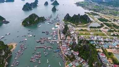  Dự thảo Luật đặc khu: Cho thuê đất 99 năm: "Đại bàng" ba đời xây ổ