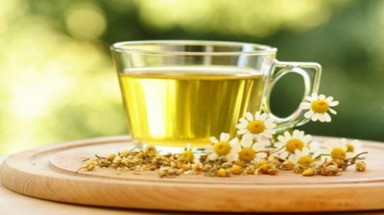  Thảo dược quý cho ngày hè