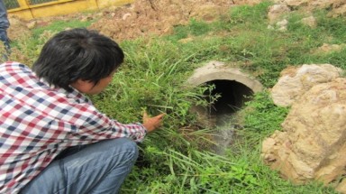  Công ty Cổ phần Bia Hà Nội-Nghệ An xả nước thải ô nhiễm môi trường