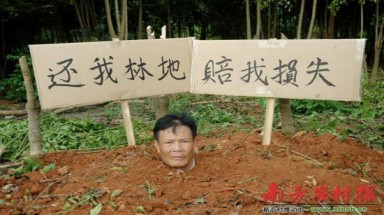  Tự chôn sống để giữ đất rừng