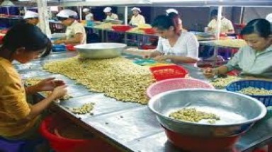  Báo động doanh nghiệp phá sản