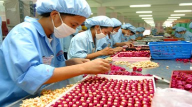  Phát triển khu công nghiệp cùng chính sách chăm lo cho công nhân
