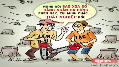  Lâm tặc thất nghiệp vì cơn bão thổi bay 7.000 ha rừng ở Đắk Lắk
