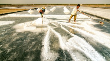 Trên cánh đồng muối trắng