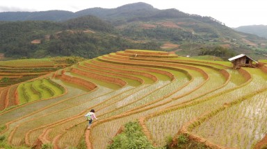 Cảnh báo mưa dông mạnh trên biển, Bắc Bộ cuối tuần nắng nóng 