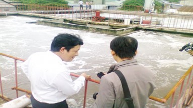  Nhà máy chế biến cá Thuận An 3 xả nước thải chưa xử lý ra sông Hậu 