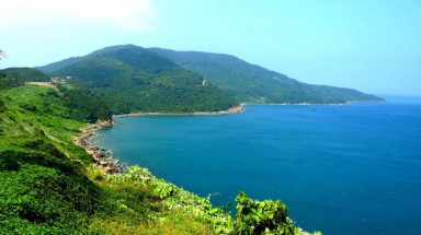  Sơn Trà - cần một sự đồng thuận