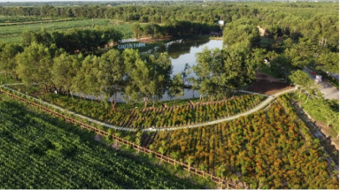  Vinamilk thuộc top 10 trong 50 doanh nghiệp niêm yết tốt nhất 2021 của Forbes Việt Nam