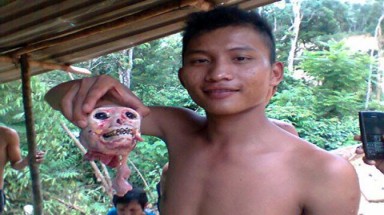  Đã xác định được kẻ tung hình ảnh giết voọc