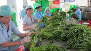 Bớt trung gian để giảm giá