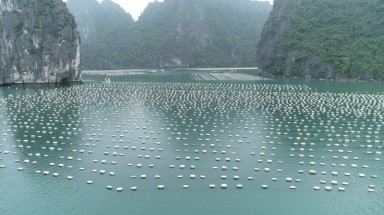  Quảng Ninh loại bỏ ”bẫy tử thần” trên biển để cứu môi trường
