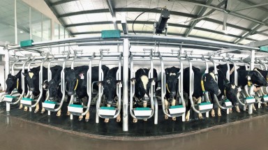 Vinamilk sản xuất sữa A2 đầu tiên tại Việt Nam